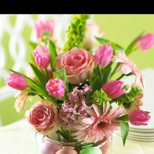 Meet your Posher, Oana